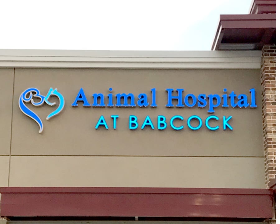 Animal Hospital at Babcock in Babcock Ranch